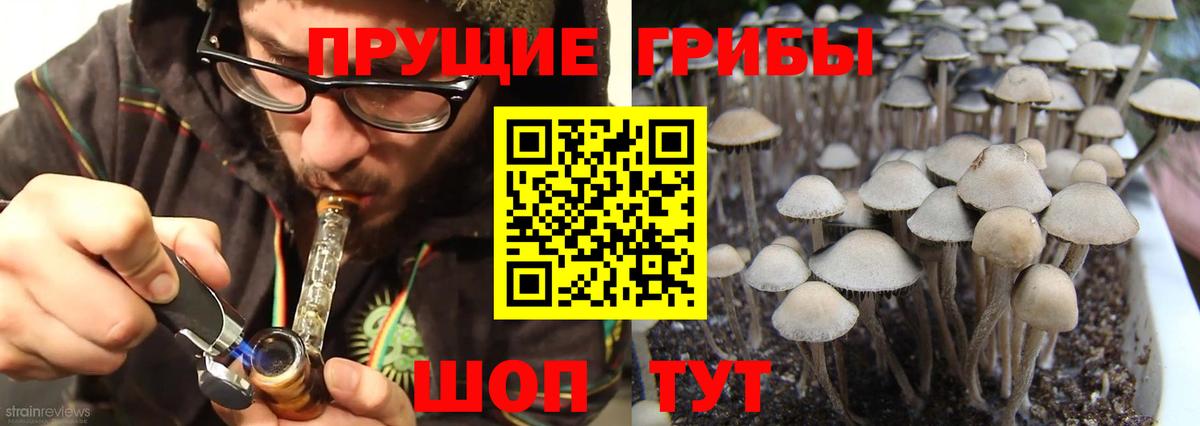 Галлюциногенные грибы GOLDEN TEACHER  Вход с VPN  Орёл 