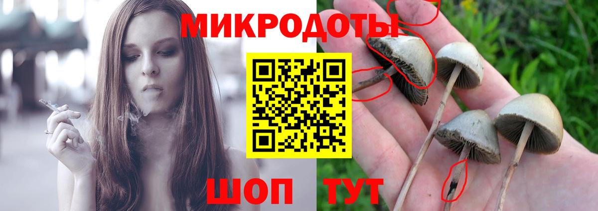 Псилоцибиновые грибы мухоморы Орёл