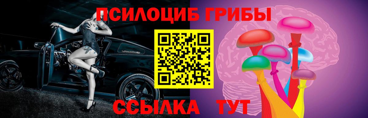 Бошки Шишки Орёл